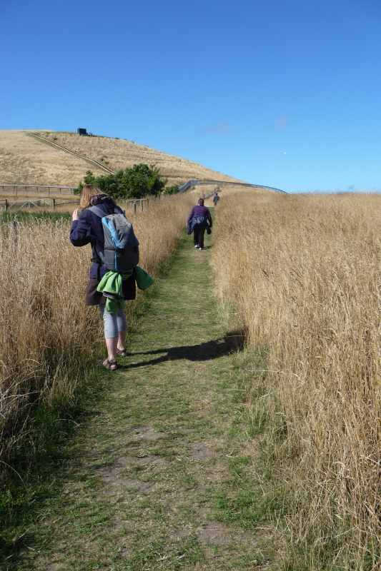 Nieuw-Zeeland 2011 - 1164